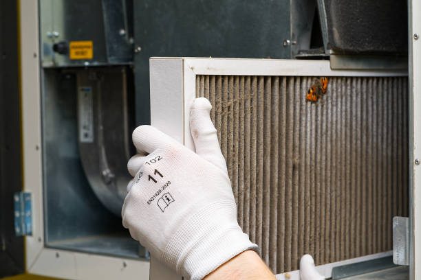 Best Local Air Duct Cleaning Services  in Carlton, OR
